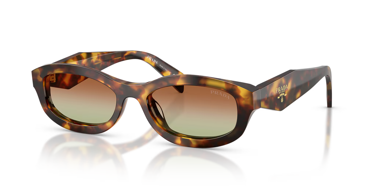 PR D24S S (54 - 18) Green / Tortoise