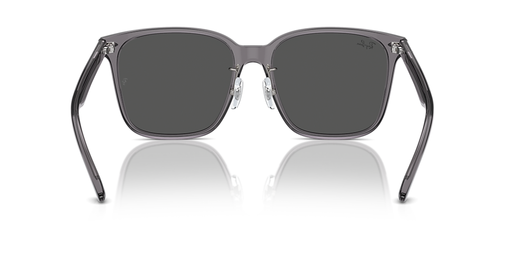 RB2206D Ray-Ban Grey/Grey L