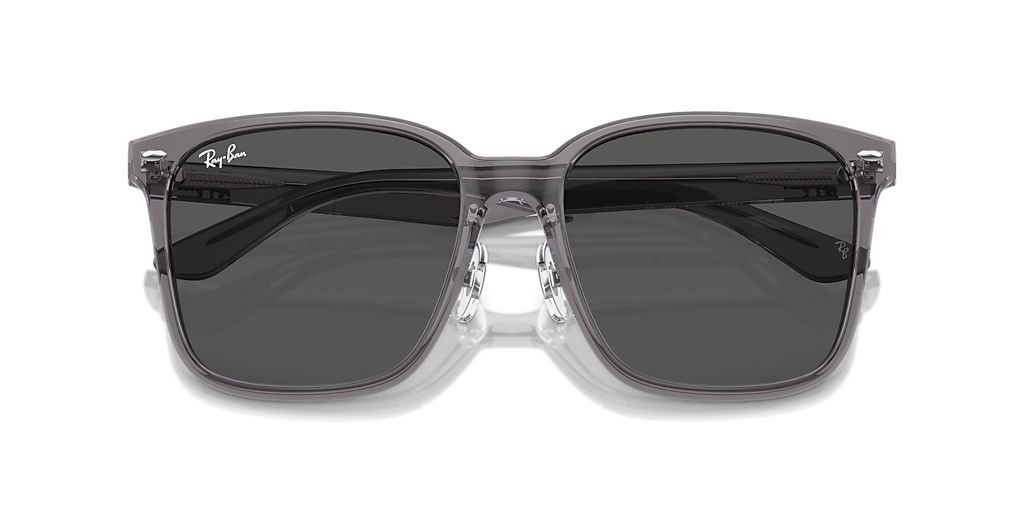 RB2206D Ray-Ban Grey/Grey L