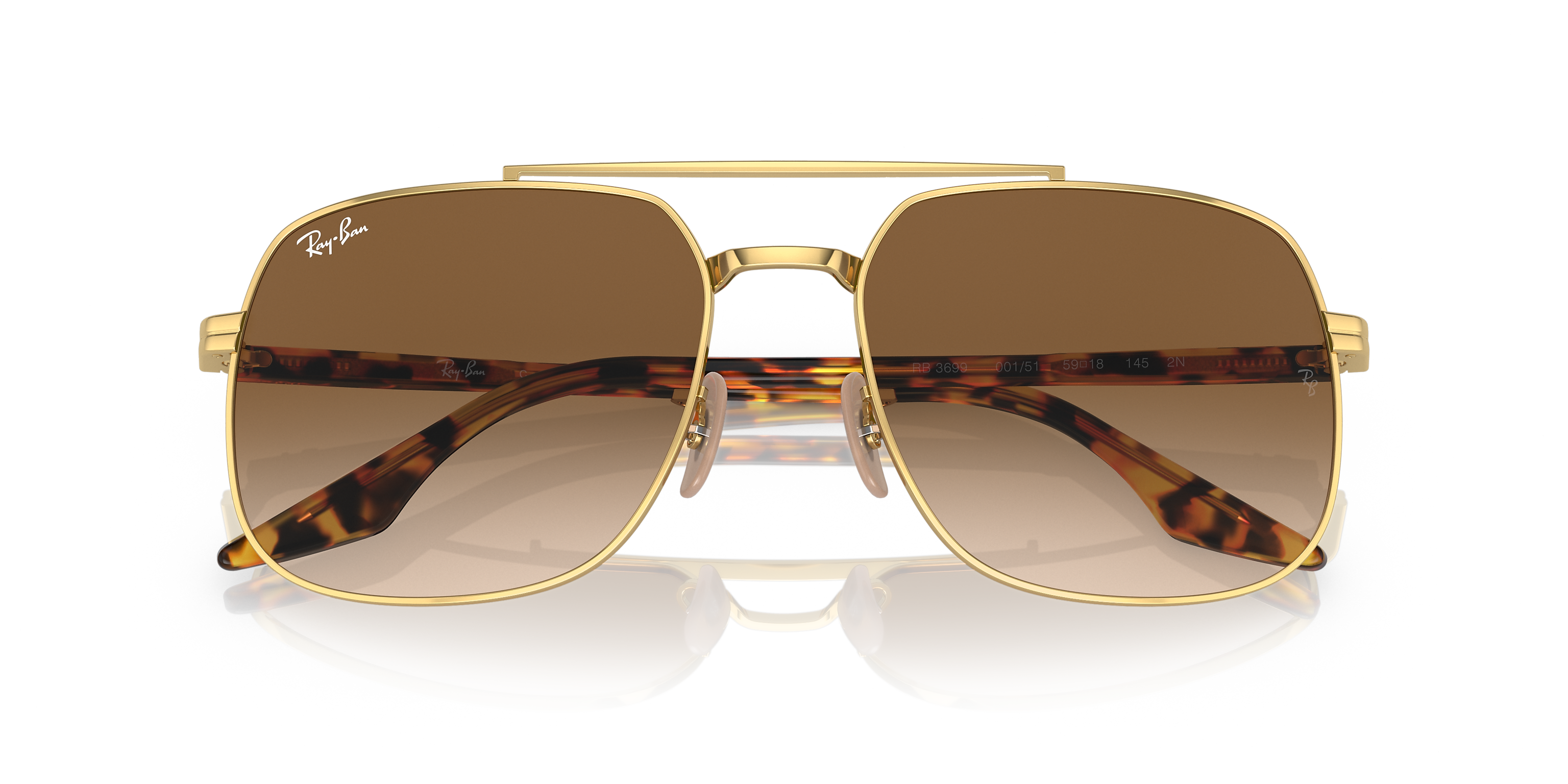 RB3699 Tortoise/Brown L