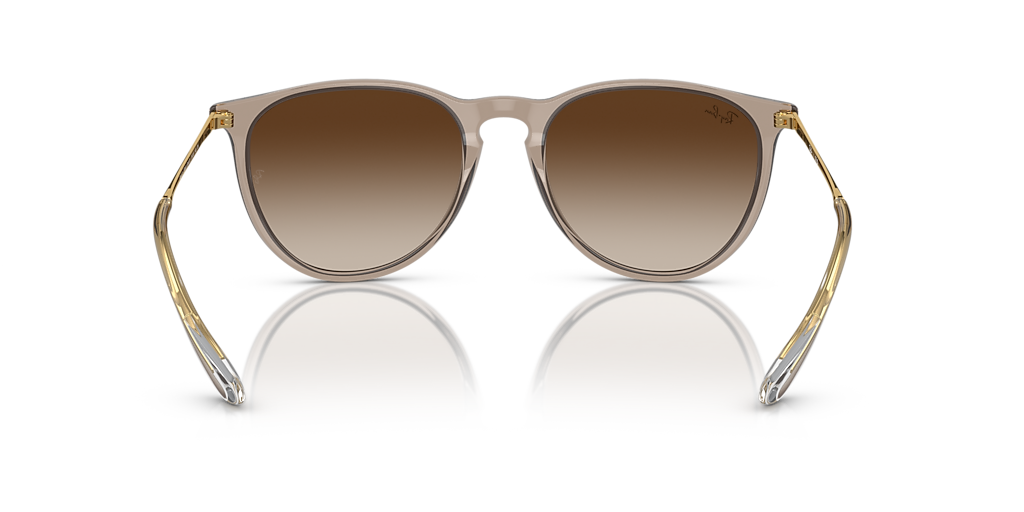 RB4171 Erika Classic Ray-Ban Brown M