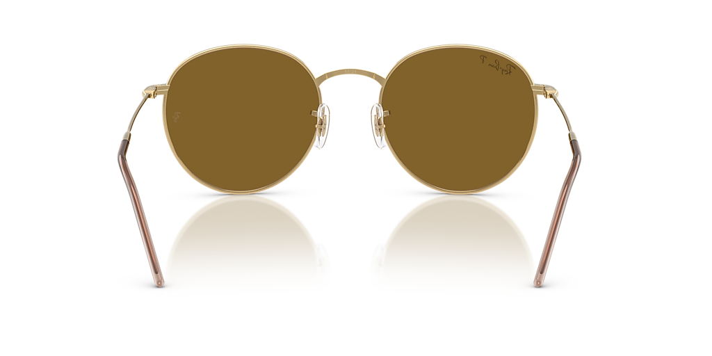 RBR0103S Round Reverse Ray-Ban Gold/Brown XL