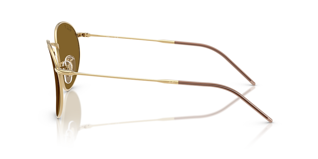 RBR0103S Round Reverse Ray-Ban Gold/Brown XL