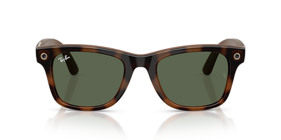 RW4011 Tortoise/G15 Green L