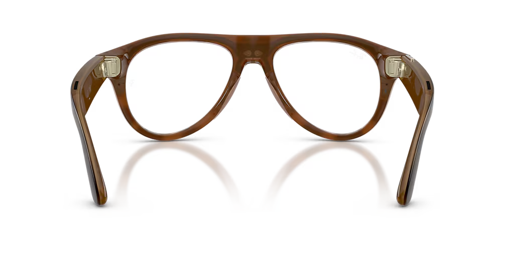 RW4016 Tortoise/Clear/Brown L