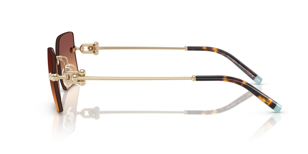 TF3088 Tiffany & Co. Gold/Orange L