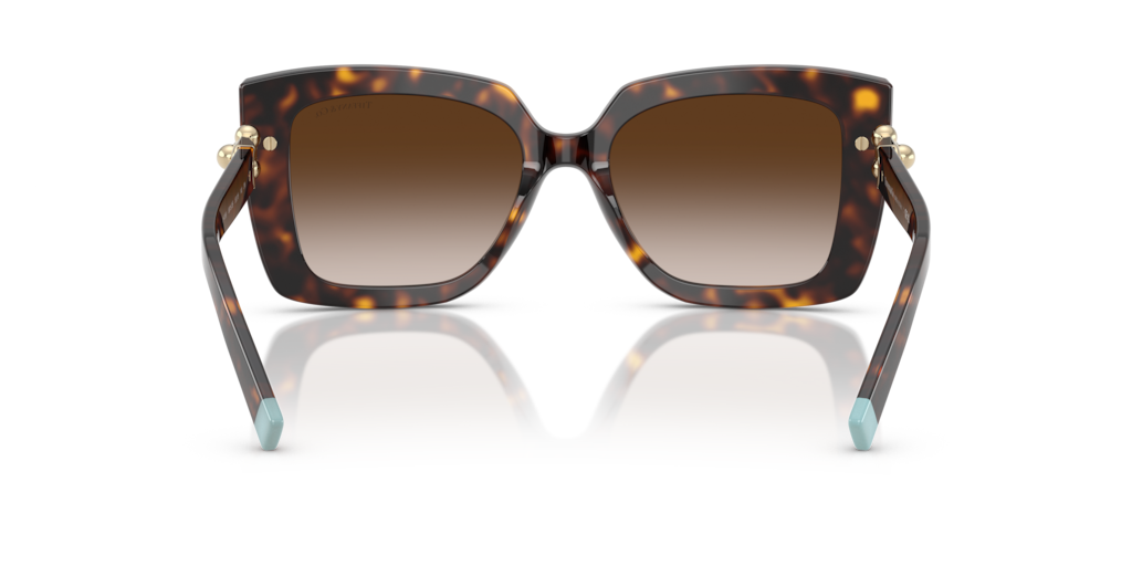 TF4199 Tiffany & Co. Havana/Brown XL