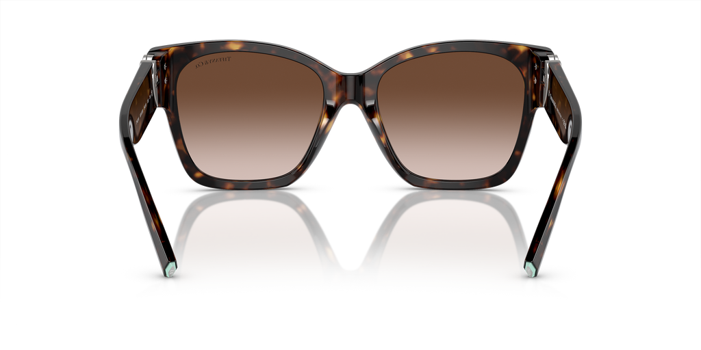 TF4216 Tortoise/Brown Gradient XL