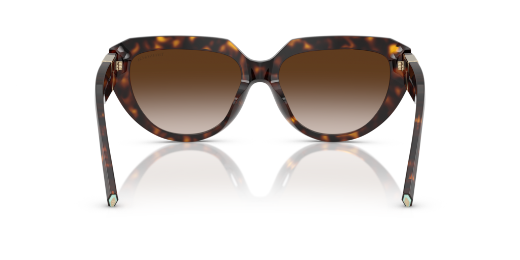 TF4238U Tiffany & Co. Havana/Brown L