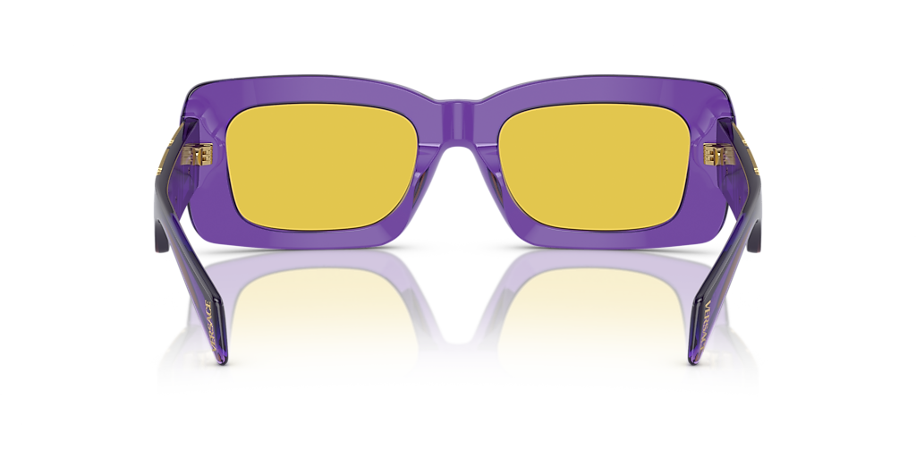 VE4444U Versace Violet/Silver L