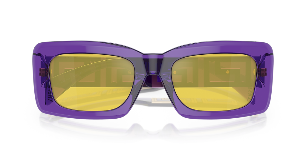 VE4444U Versace Violet/Silver L