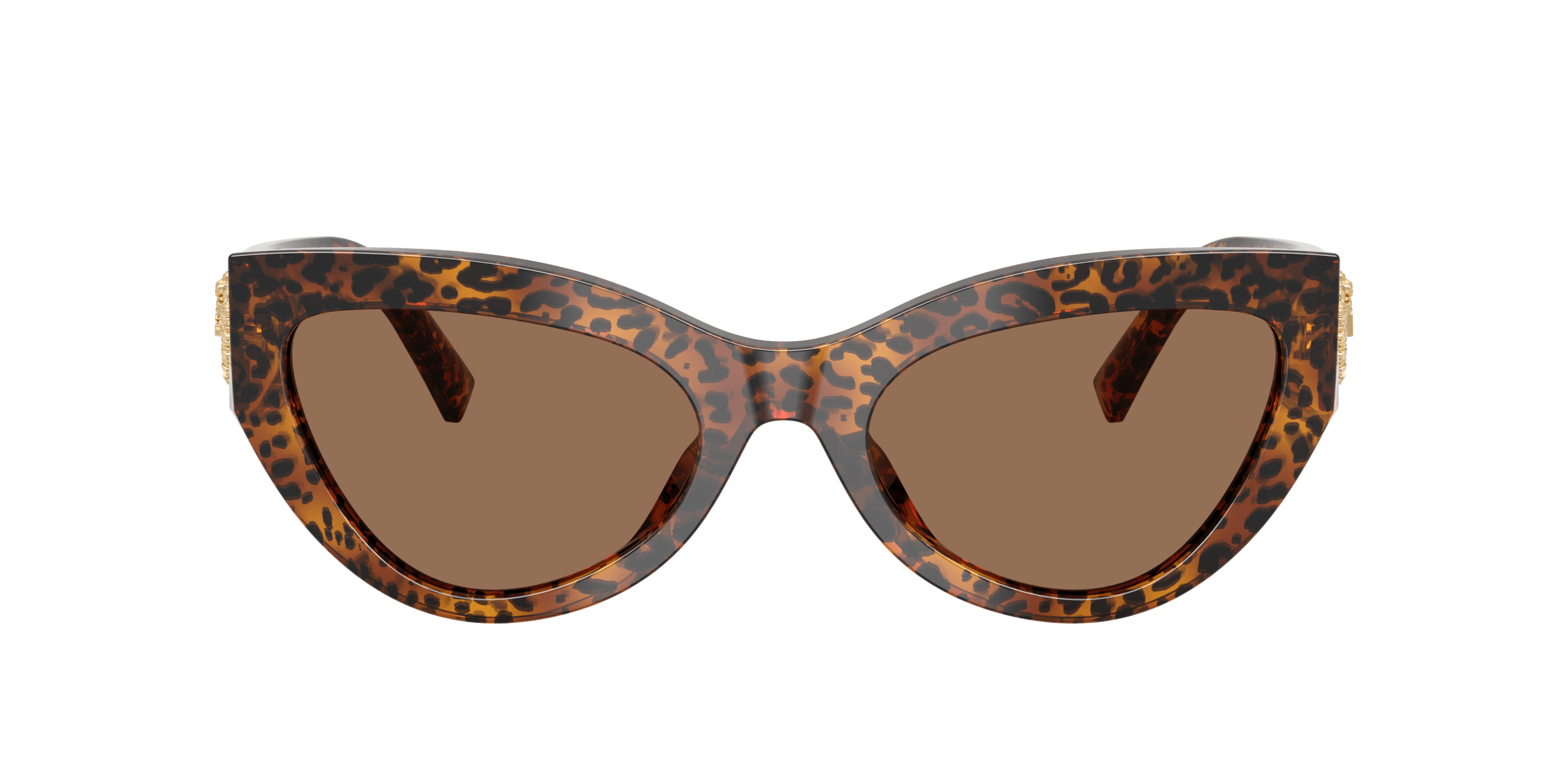 DG4536 DOLCE & GABBANA Leo Transparent/Dark Brown L