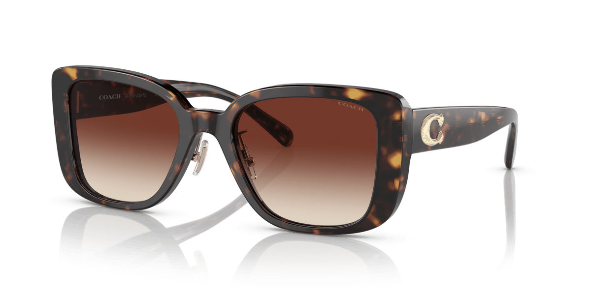 CD472 Coach Tortoise/Brown L