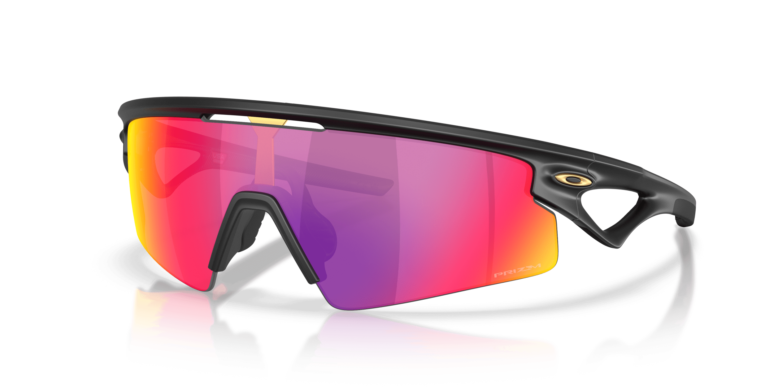 Sphaera™ OAKLEY Black/Violet L