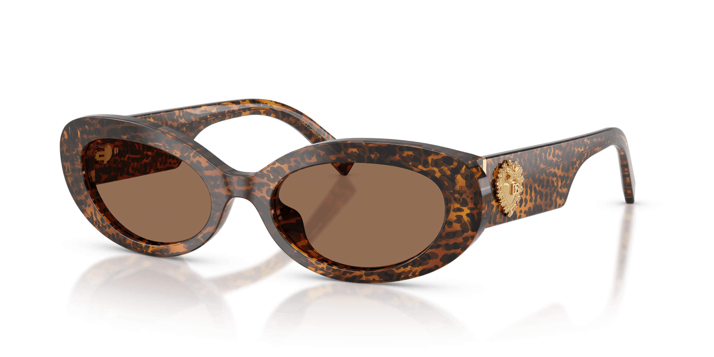 DG4537 DOLCE & GABBANA Brown/Brown S