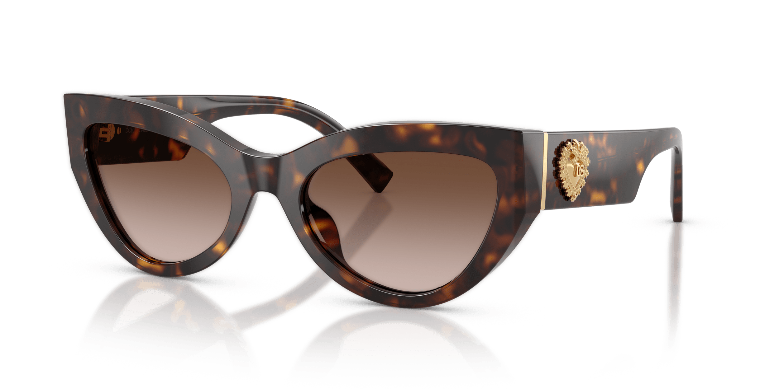 DG4536 DOLCE & GABBANA Tortoise/Brown L