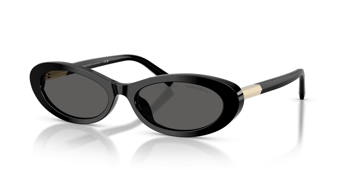 TF4250 TIFFANY Black/Grey L