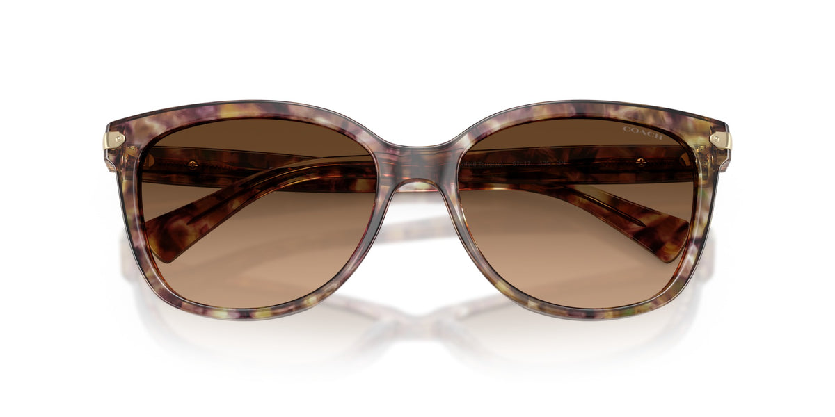 L109 Coach Tortoise/Brown L
