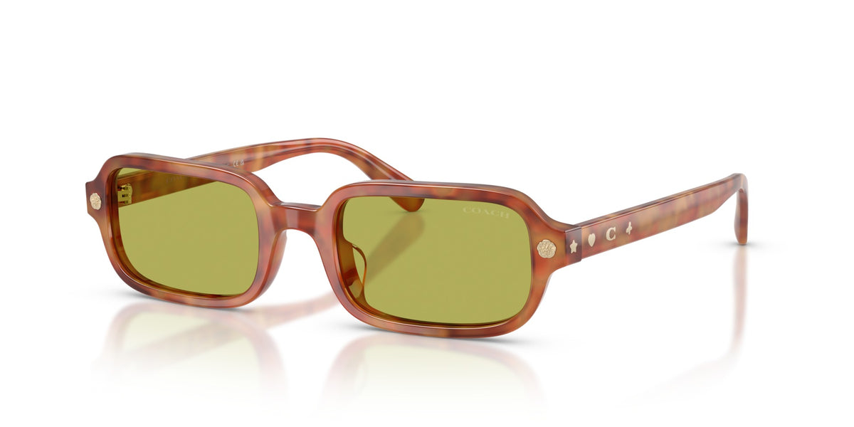 CFU11 Coach Tortoise/Green S