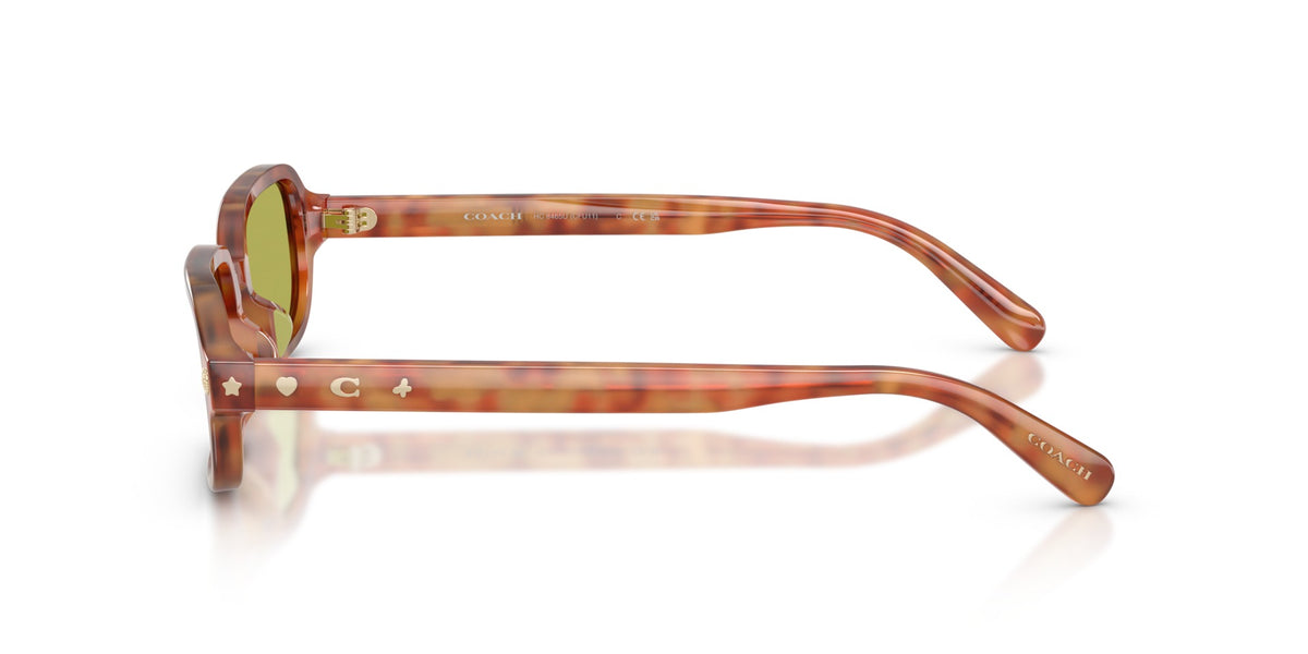 CFU11 Coach Tortoise/Green S