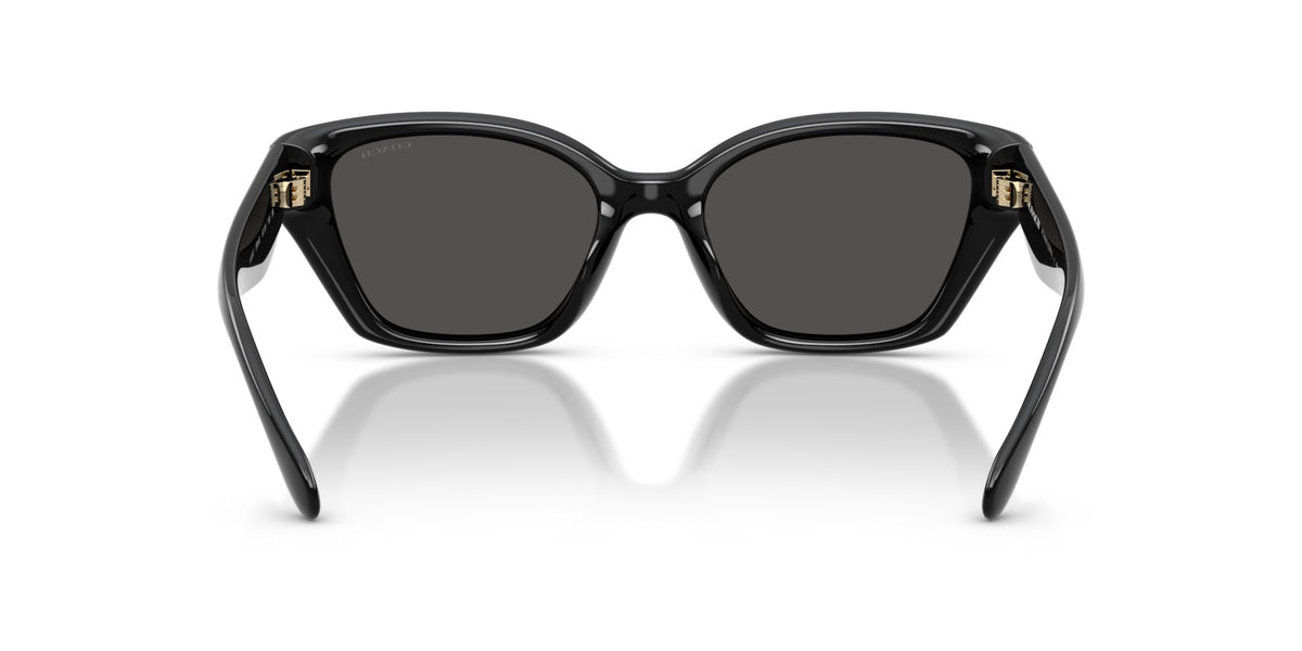 CBY91 Coach Black/Grey M
