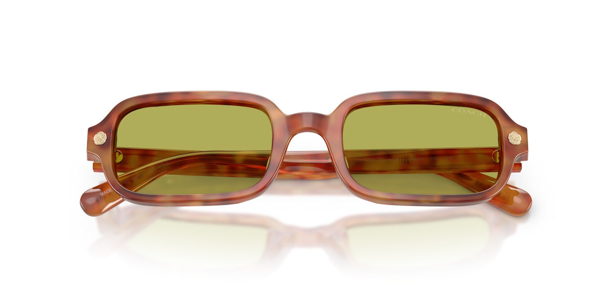 CFU11 Coach Tortoise/Green S