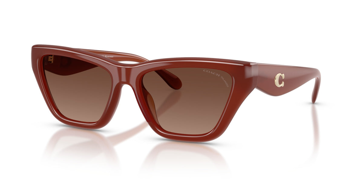 CDP33 Coach Brown/Brown L