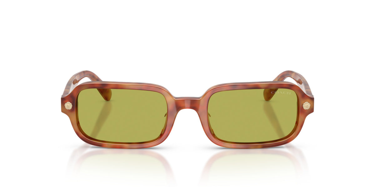 CFU11 Coach Tortoise/Green S