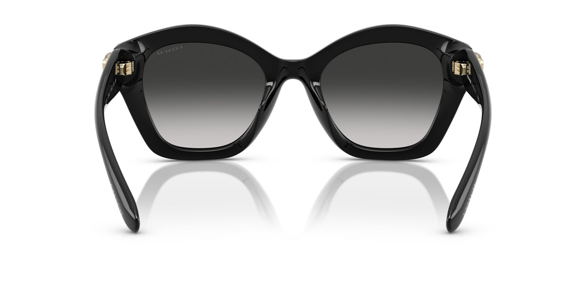 CAD31 Coach Black/Grey L