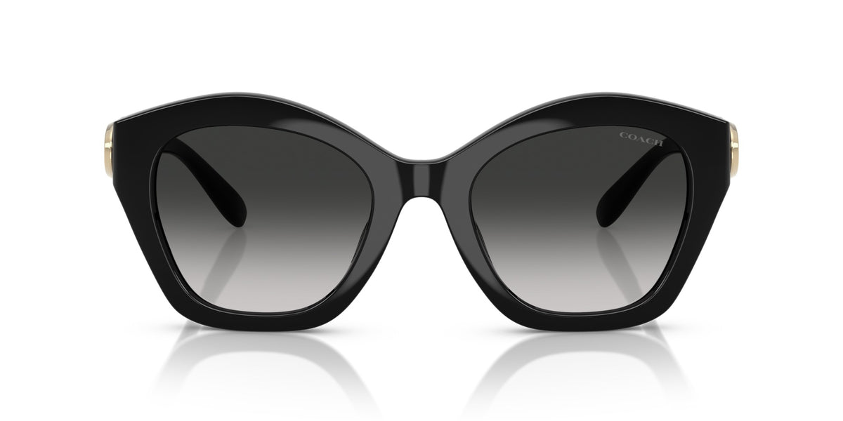 CAD31 Coach Black/Grey L