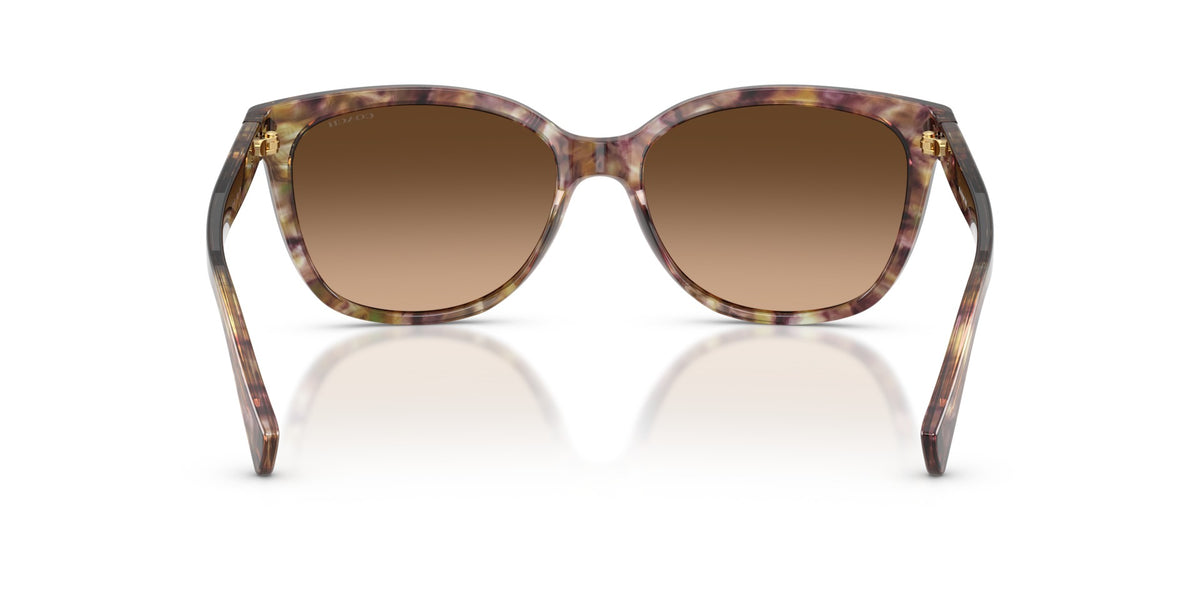 L109 Coach Tortoise/Brown L