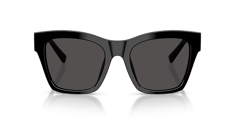 DG4512 Dolce & Gabbana Black Grey L