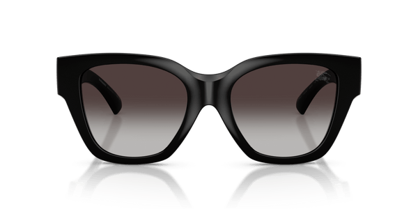 BE4489U BURBERRY Black/Grey L