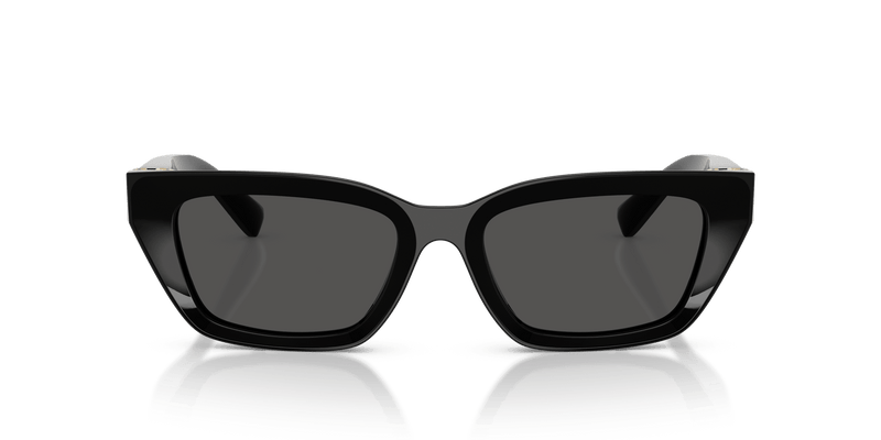 DG4532 DOLCE & GABBANA Black/Grey S