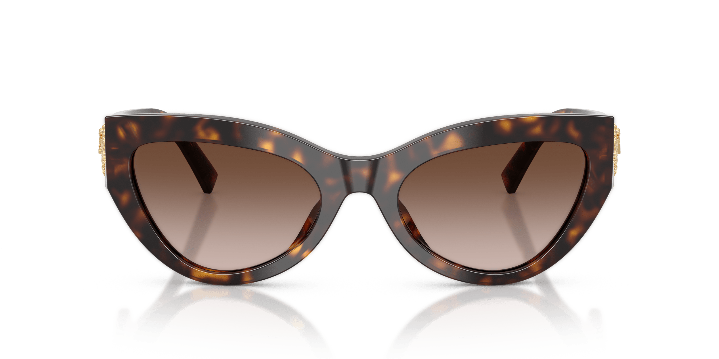 DG4536 DOLCE & GABBANA Tortoise/Brown L