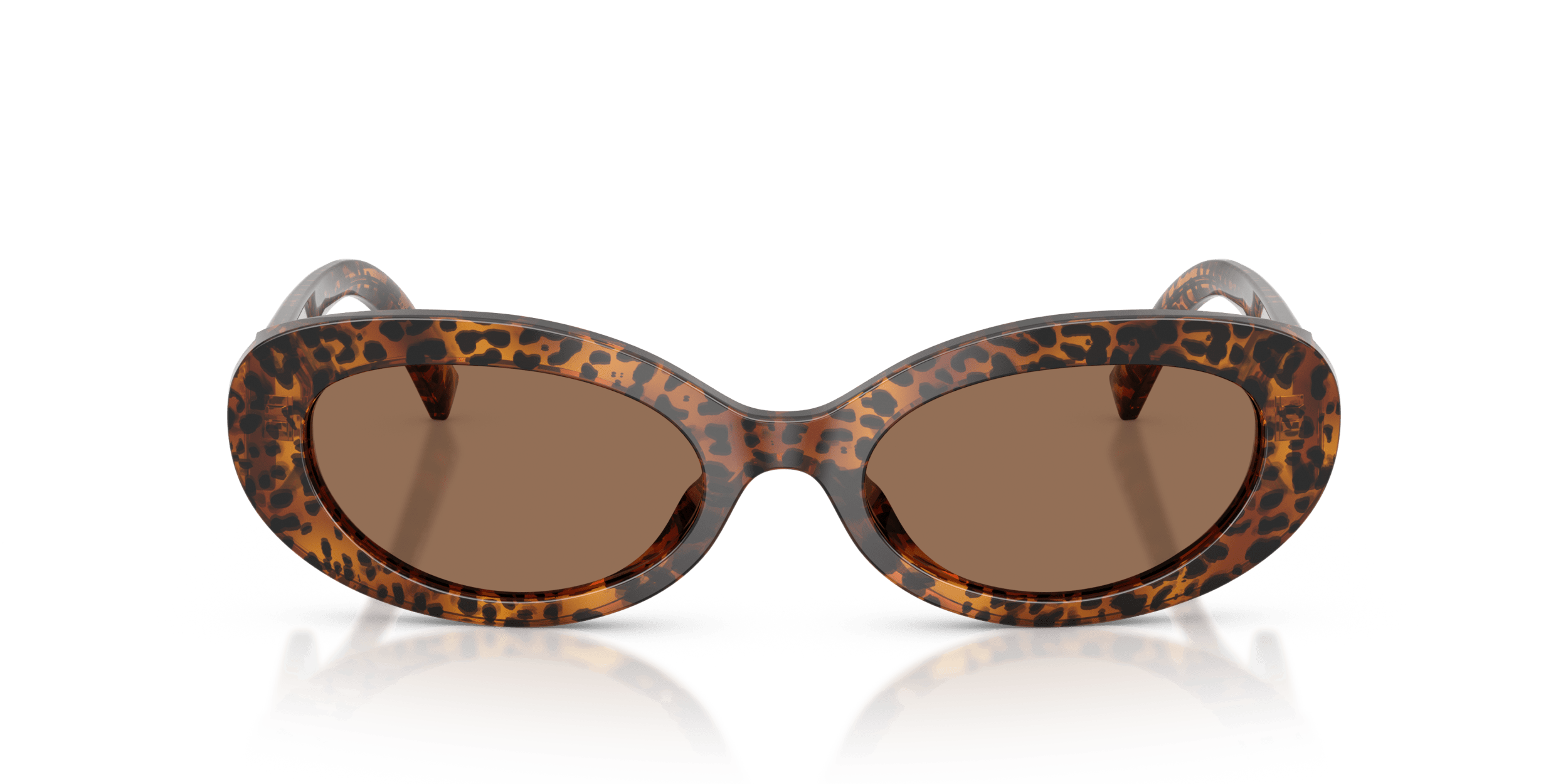 DG4537 DOLCE & GABBANA Brown/Brown S
