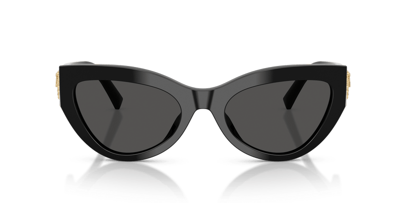 DG4536 DOLCE & GABBANA Black/Grey L