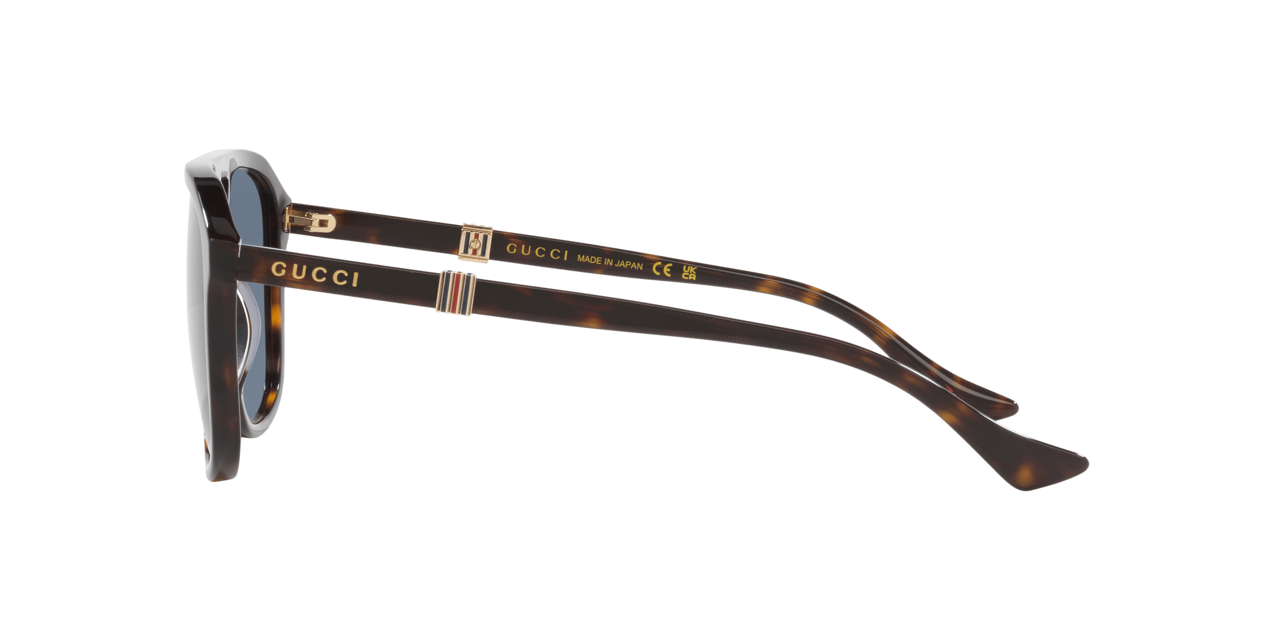 GG1494S Gucci Tortoise/Blue M