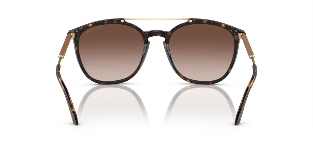 AR 8198 Giorgio Armani Havana/Brown L