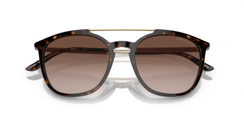 AR 8198 Giorgio Armani Havana/Brown L