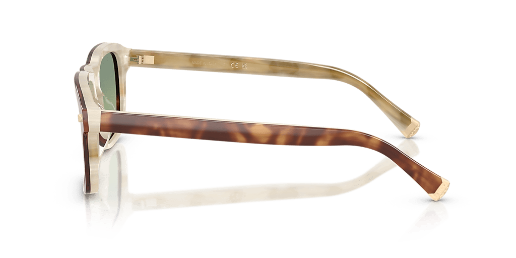 BC 4014S Brunello Cucinelli Havana/Green L