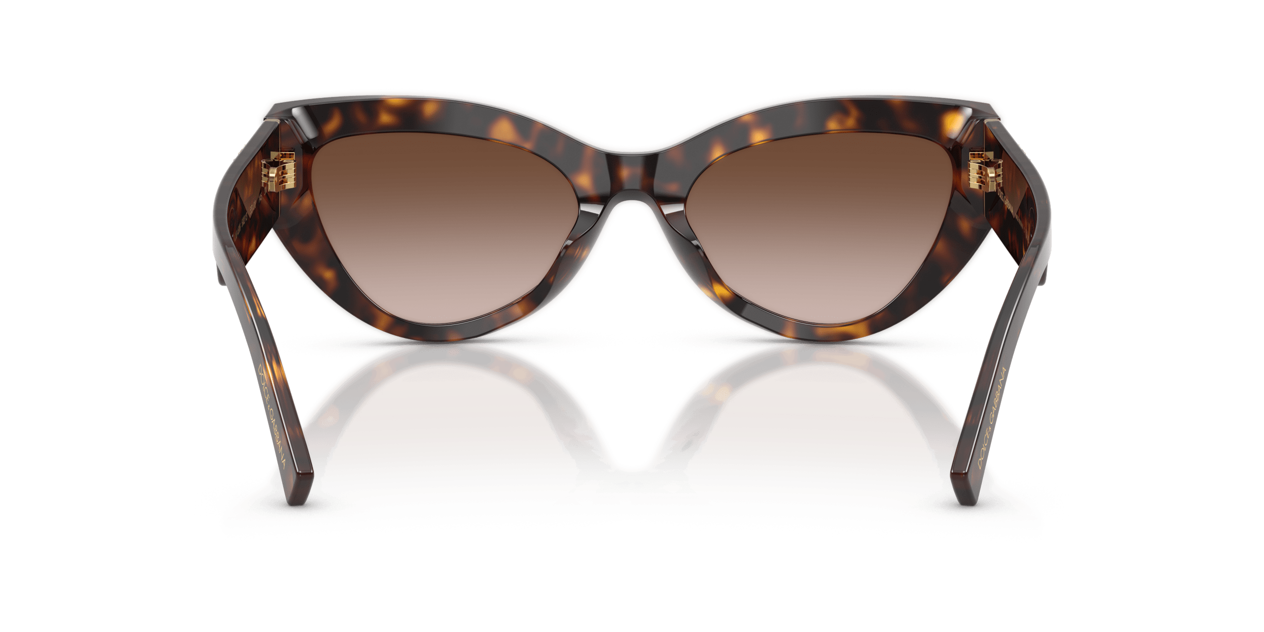 DG4536 DOLCE & GABBANA Tortoise/Brown L