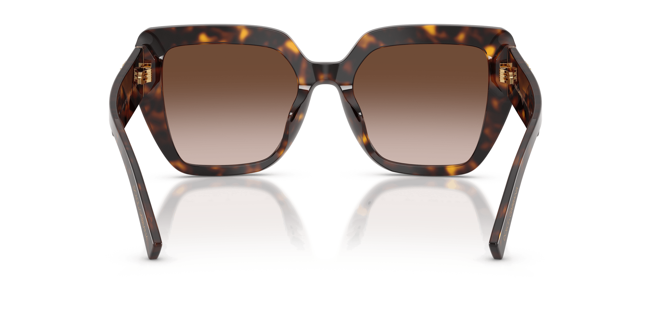 DG4538 DOLCE & GABBANA Tortoise/Brown L