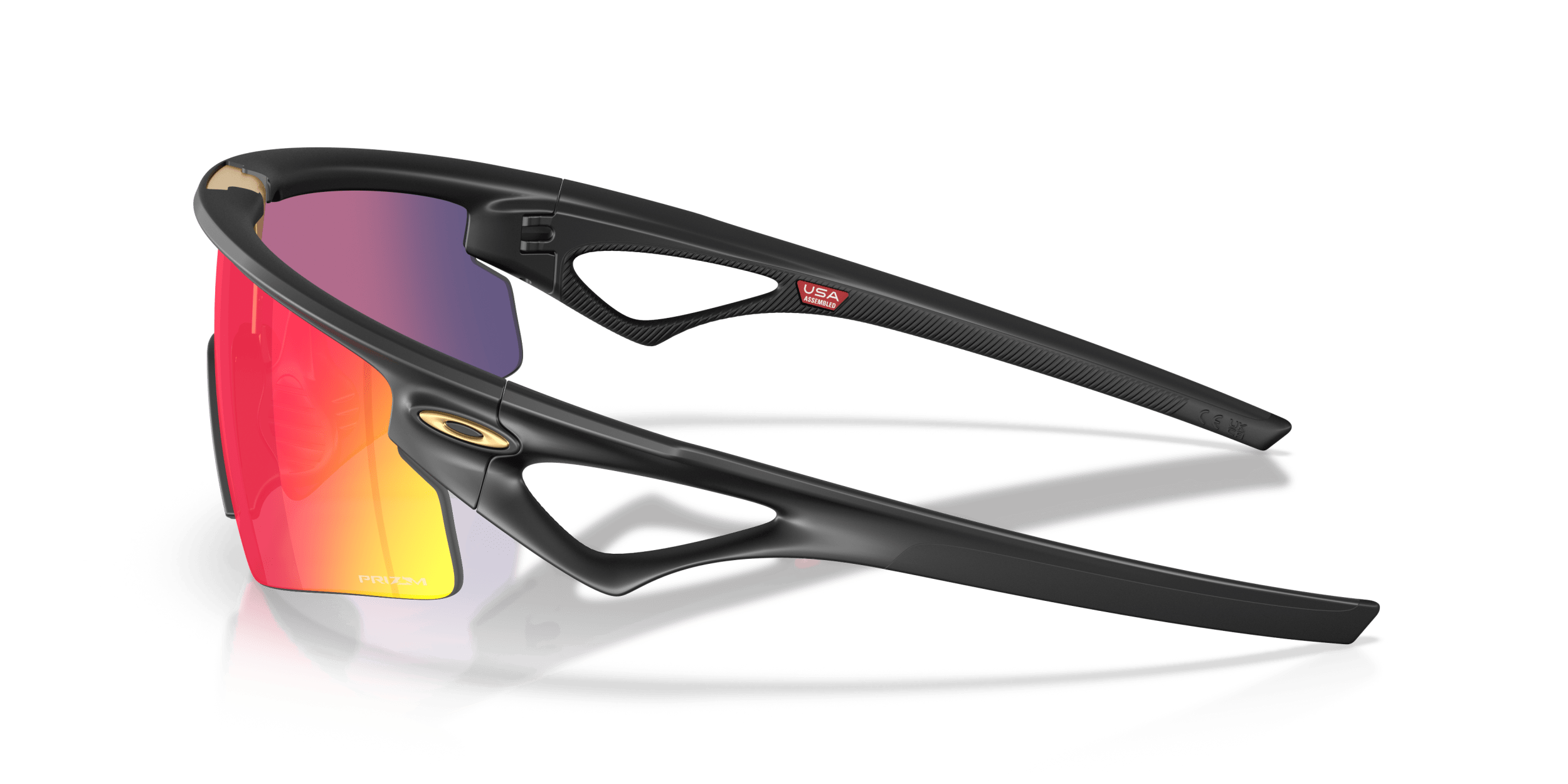 Sphaera™ OAKLEY Black/Violet L