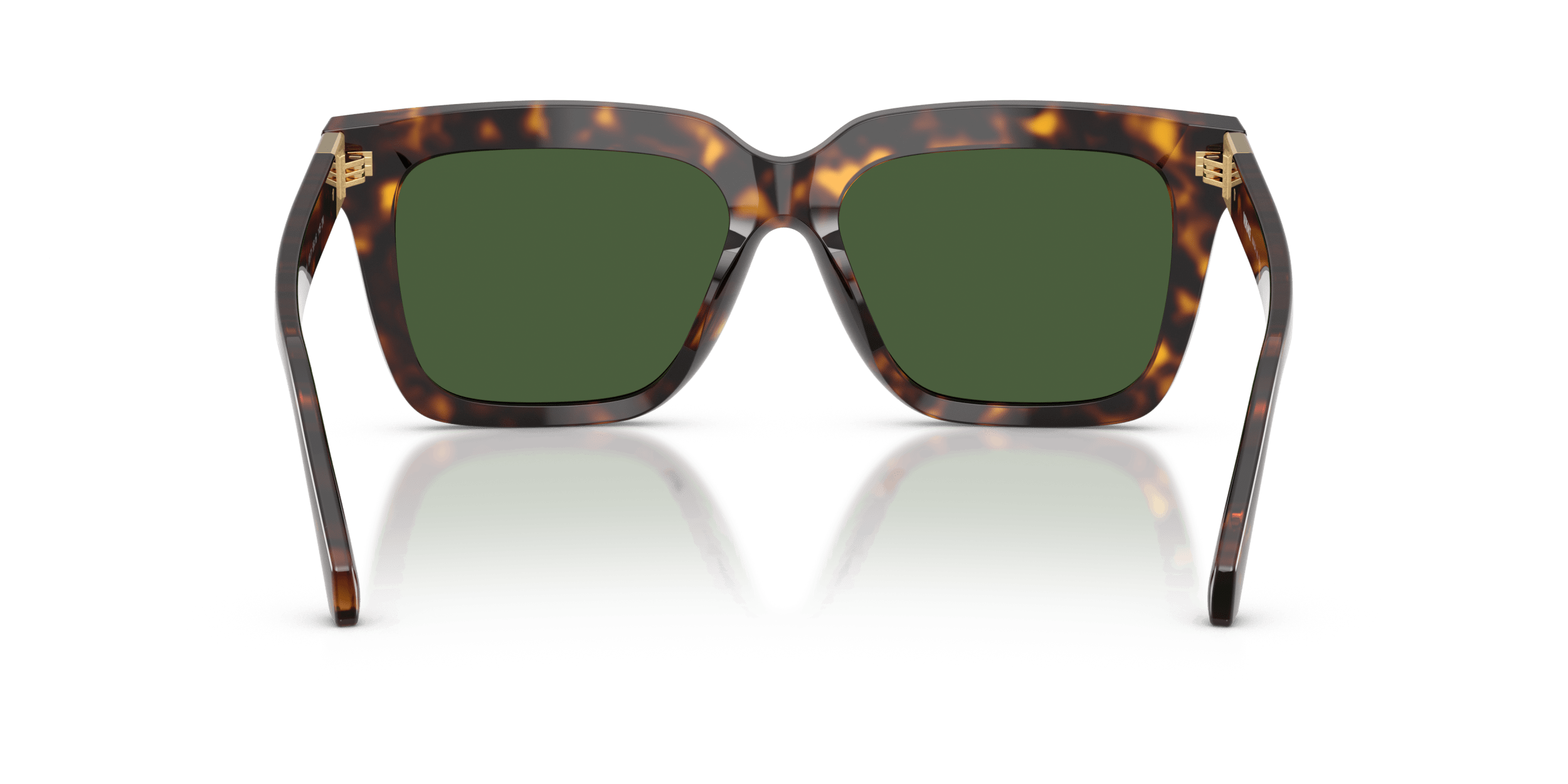 VE4498 VERSACE Tortoise/Green L