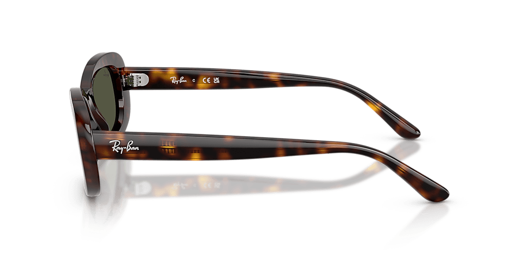 RB 2221 RAY-BAN Havana Green L