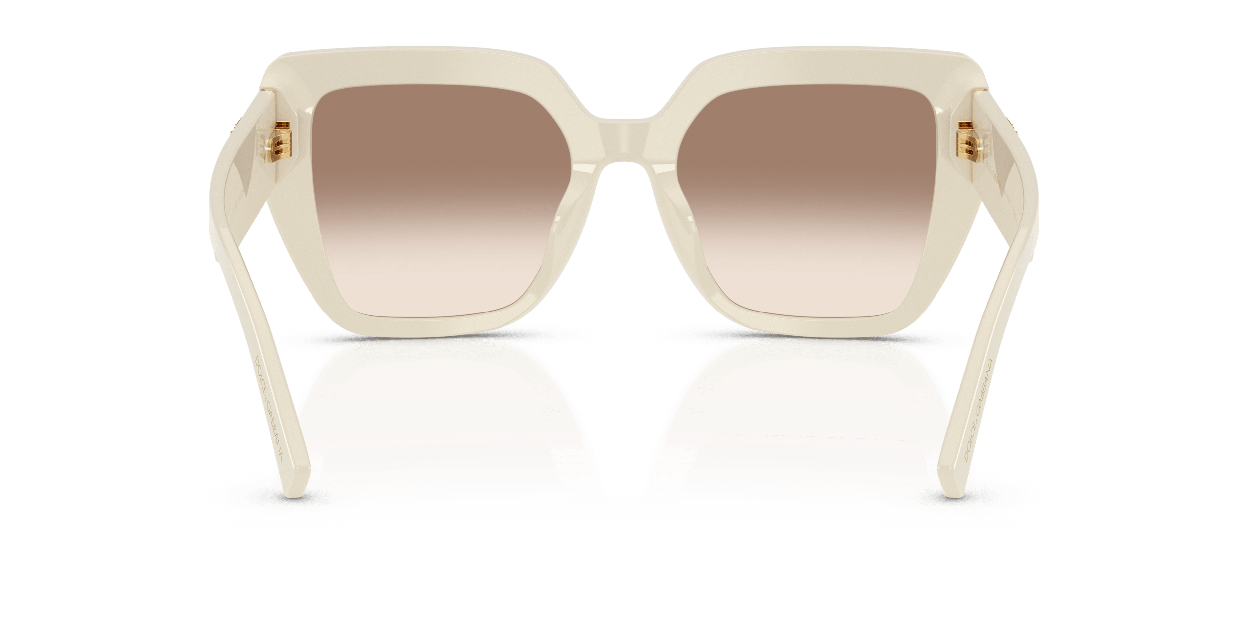 DG4538 DOLCE & GABBANA Brown/Brown L