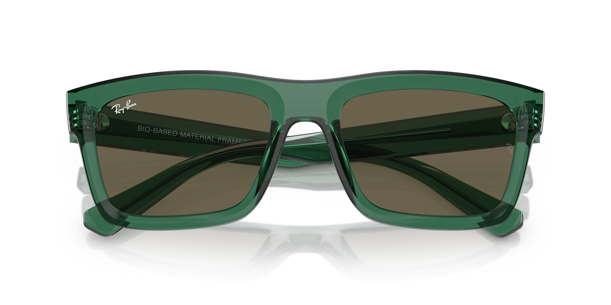 Warren RAY-BAN Green/Brown XL