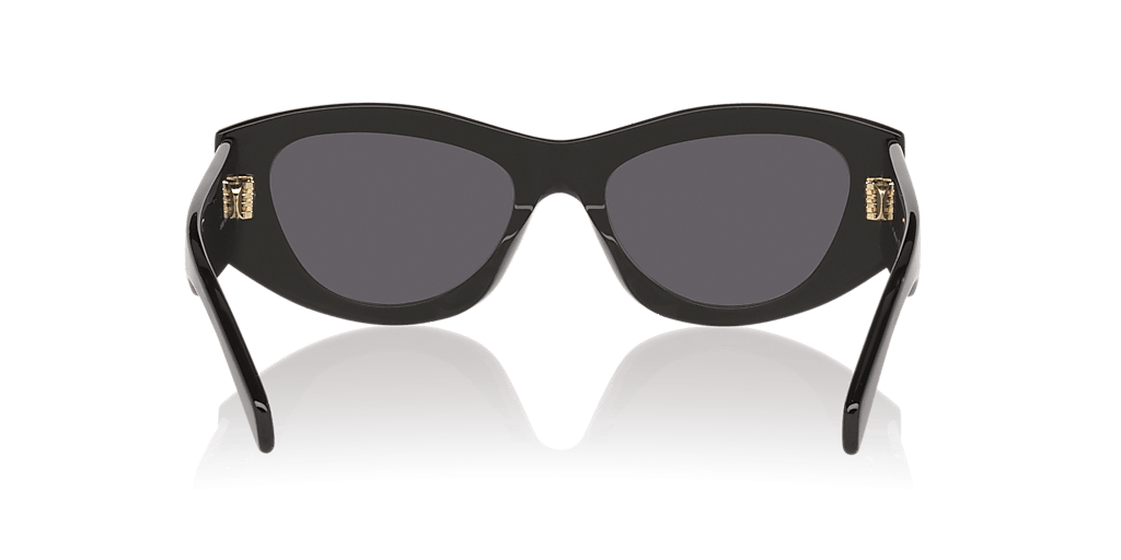 Triomphe CL40308U Celine Black Grey Regular S