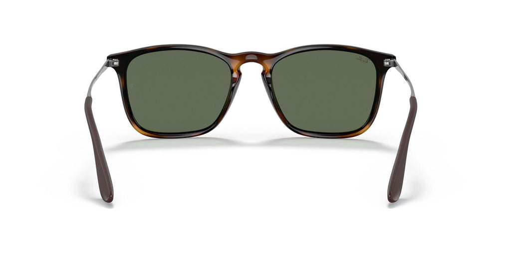 RB4187 Tortoise/Dark Green M